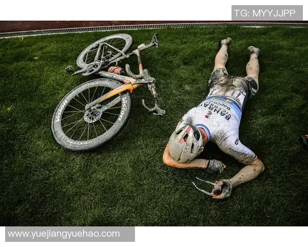 霍芬海与弗赖堡激战正酣谁能在德甲赛场上笑到最后