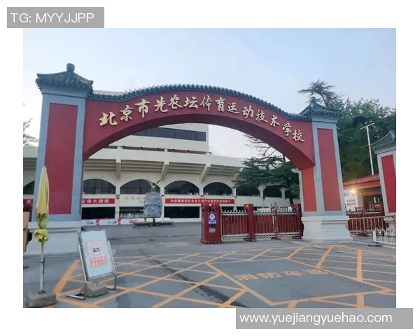 北京乒乓球队转型之路：从传统强队到现代竞技新模式的深度解析MBA