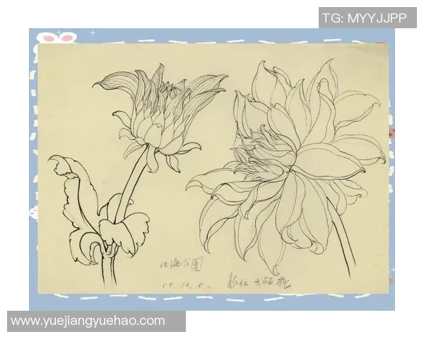 徐昕的艺术之路与人生哲学探索:从创作到生活的深刻思考与启示