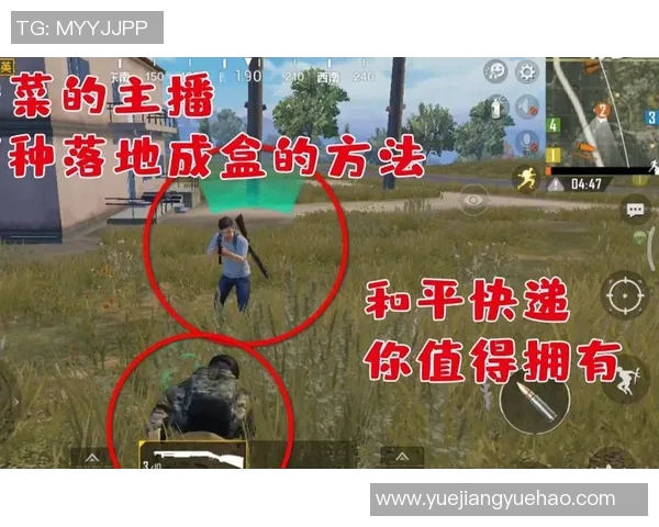 深度对话：探索杨强在和平精英中的成长与人生哲学